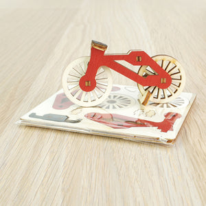Bicicletta - 001 veicoli