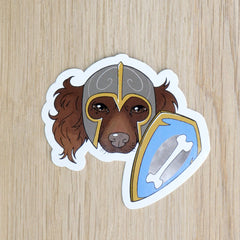 Polpetta la Paladina