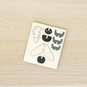 Mosca - 003 insetti
