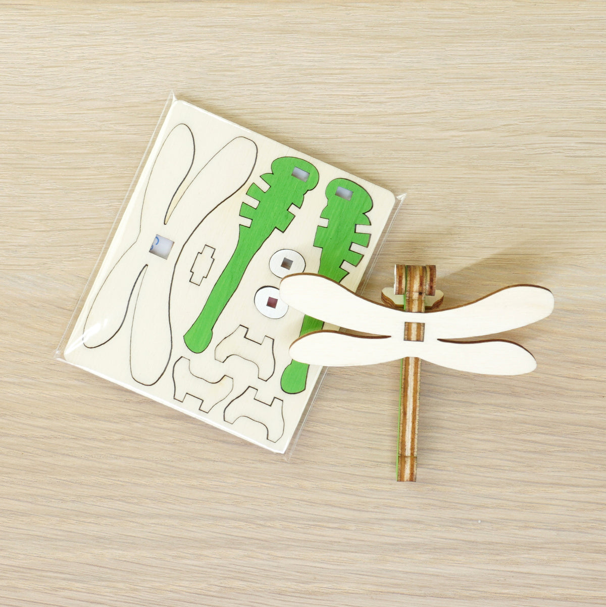 Libellula - 005 insetti