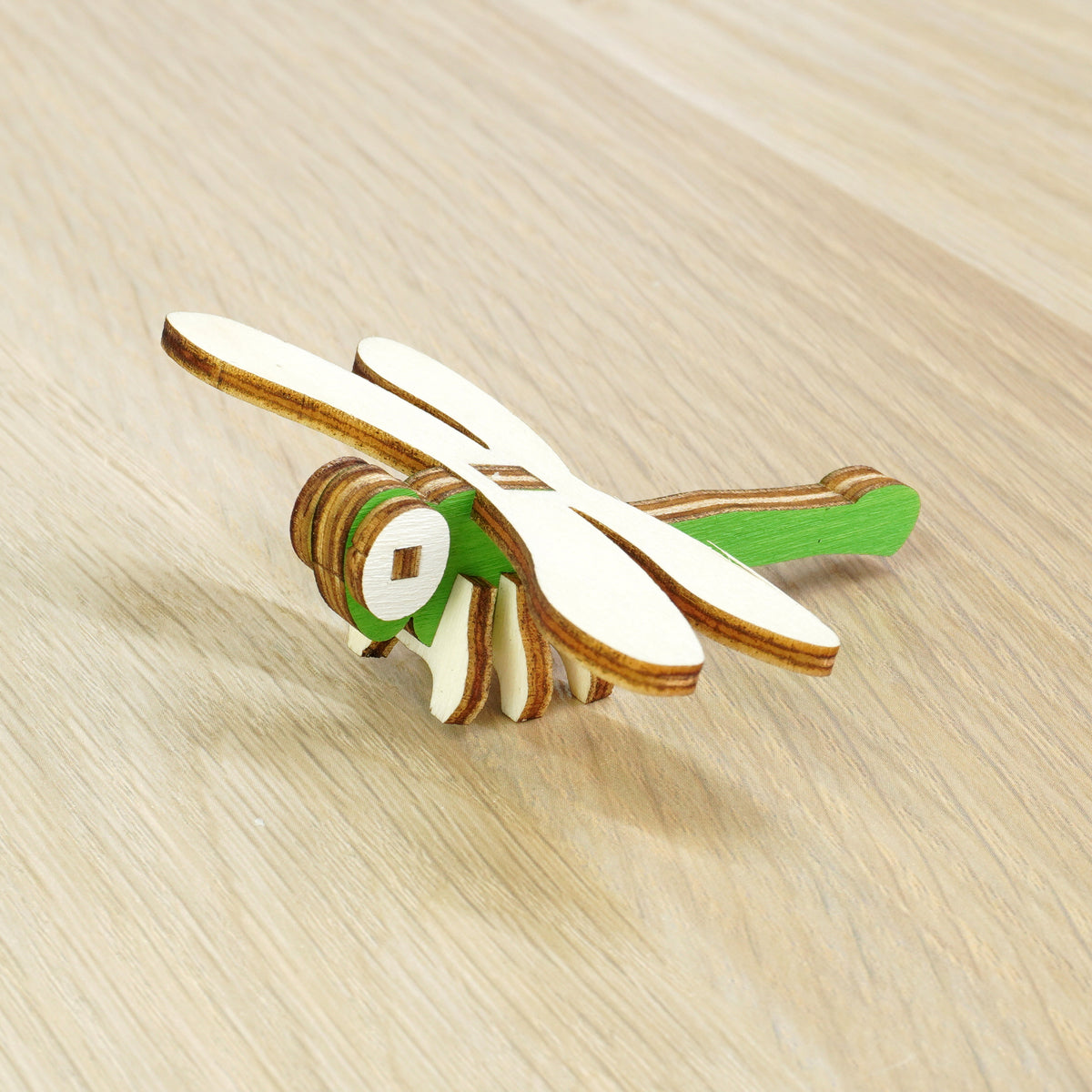 Libellula - 005 insetti